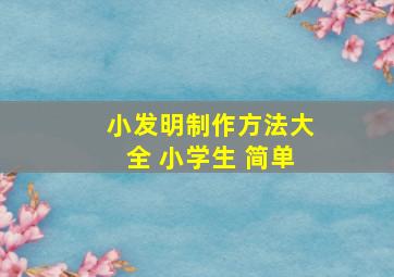 小发明制作方法大全 小学生 简单